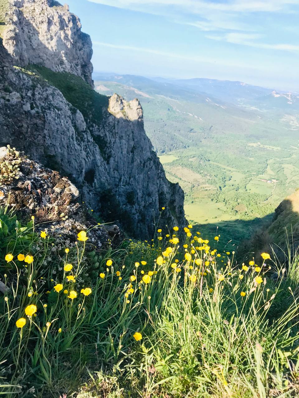 fleurs