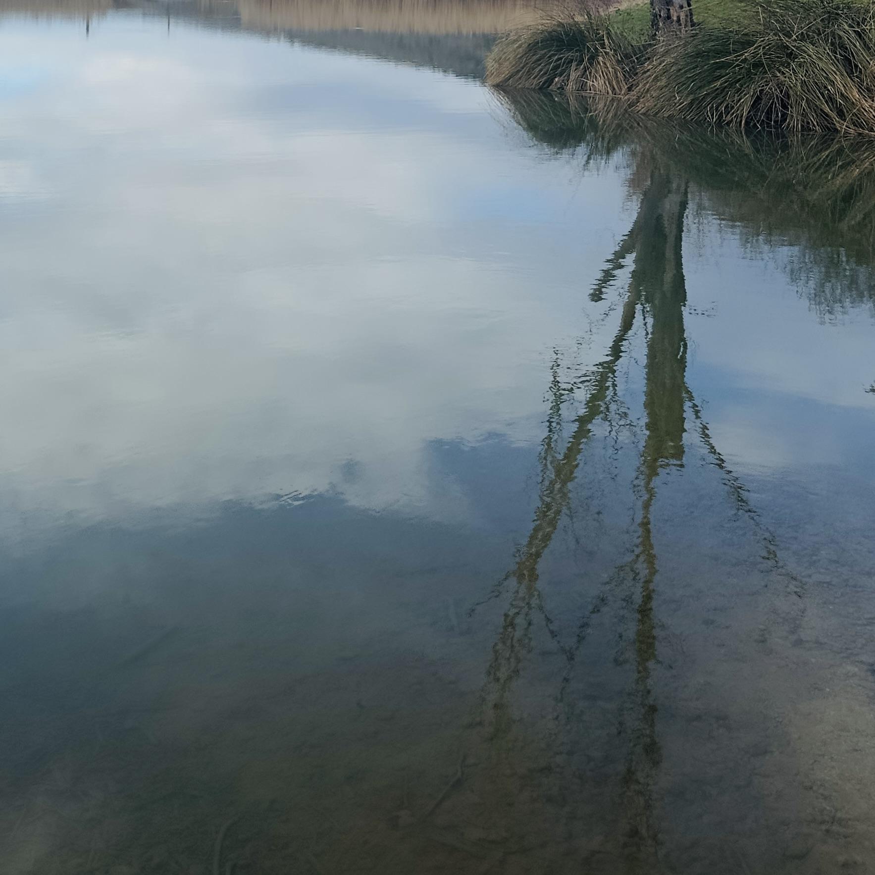 Coucher-de-soleil-carré